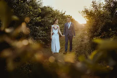 Foxografika - Mateusz Lis